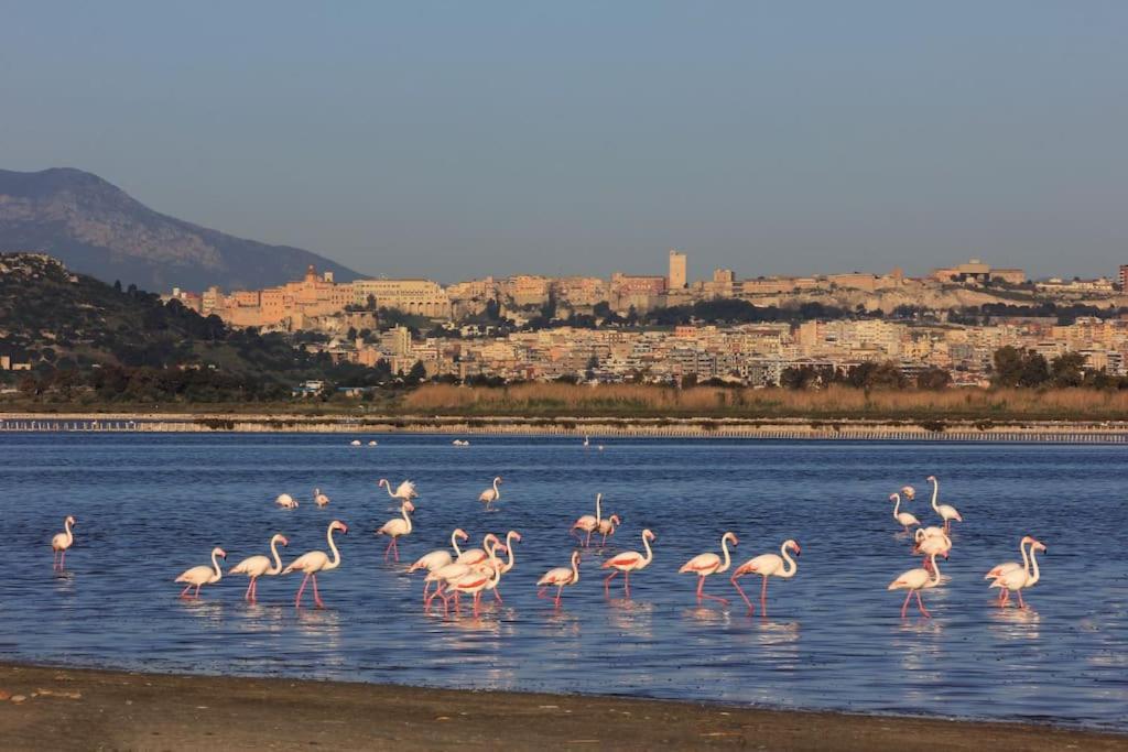 شقة كوارتو سانتيلينا  في La Casa Al Poetto - Iun R0135 المظهر الخارجي الصورة
